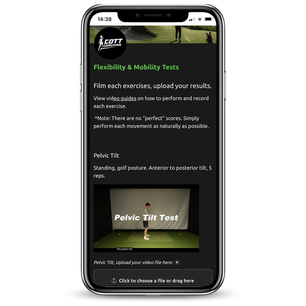FAIRWAY/PHYSICAL assessment on a phone
